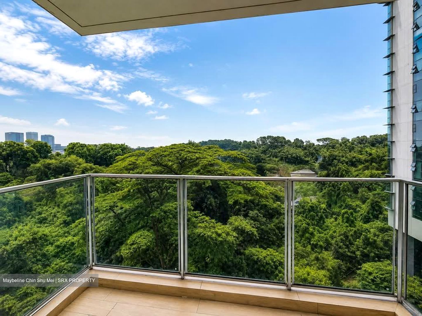 Normanton Park (D5), Apartment #597843901